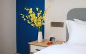 Туры в отель Floral Hotel·Hongcun Yingwu Mountain Residence Hotel