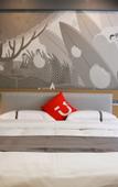 Туры в отель Shankee Hotel (Kangding Guzan)