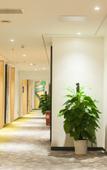 Туры в отель Qianji Delicate Hotel