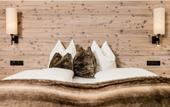 Туры в отель Anterleghes Arthotel