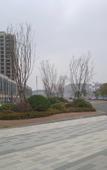 Туры в отель City Comfort Inn Hotel (Wuhan Yangluo Wanda Plaza)