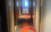 Туры в отель Borrman Hotel (Wuhan Huanghelou Fuxing Road Subway Station)