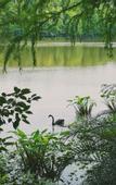 Туры в отель Yeebo Xiuhu Resort Hotel