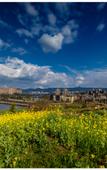 Туры в отель Yeebo Xiuhu Resort Hotel