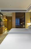 Туры в отель Vienna International Hotel (Nanchang West Railway Station Honggutan University Town)