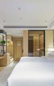 Туры в отель Vienna International Hotel (Nanchang West Railway Station Honggutan University Town)