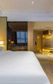 Туры в отель Vienna International Hotel (Nanchang West Railway Station Honggutan University Town)