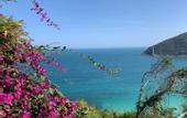 Туры в отель Sanya Qishan Homestay (Yalong Bay Forest Park Branch)