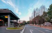Туры в отель Hangzhou Xianghu Wahaha Hotel (Changqiao Polar Ocean Park)