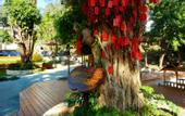Туры в отель Guangzhou Lianhua Mountain Argyle Putike Hotel
