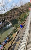 Туры в отель Yapeng Hotel (Shanghai Nanxiang Subway Station)