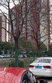 Туры в отель Yapeng Hotel (Shanghai Nanxiang Subway Station)