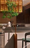 Туры в отель Chongqing Huafang Hotel