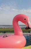 Туры в отель Floral Hotel·Beijing Expo Park,Yake Leisure Hotel