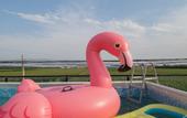 Туры в отель Floral Hotel·Beijing Expo Park,Yake Leisure Hotel
