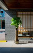 Туры в отель Floral Hotel·Beijing Expo Park,Yake Leisure Hotel