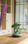 Туры в отель Floral Hotel·Beijing Expo Park,Yake Leisure Hotel