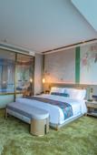 Туры в отель Recluse Taishan Hotel