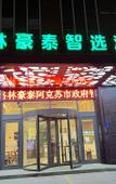 Туры в отель GreenTree Inn Express Hotel (Aksu Century Plaza)