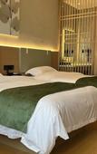 Туры в отель GreenTree Zhixuan Hotel (Jingjiang Chengxi Avenue)