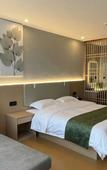 Туры в отель GreenTree Zhixuan Hotel (Jingjiang Chengxi Avenue)