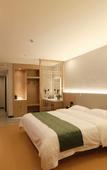 Туры в отель GreenTree Zhixuan Hotel (Jingjiang Chengxi Avenue)