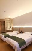 Туры в отель GreenTree Zhixuan Hotel (Jingjiang Chengxi Avenue)