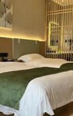 Туры в отель GreenTree Zhixuan Hotel (Jingjiang Chengxi Avenue)