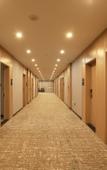 Туры в отель GreenTree Zhixuan Hotel (Jingjiang Chengxi Avenue)