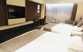 Туры в отель VX Hotel (Yutai Guantong Nongmaocheng)