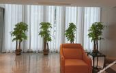 Туры в отель VX Hotel (Wuhan Guanggu Plaza, Yangjiawan Metro Station)