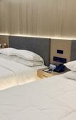 Туры в отель Deep Sleep Hotel Nanjing Confucius Temple Metro Station