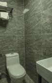 Туры в отель Feronia Hotel (Lingwu Ningdong)