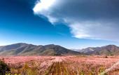 Туры в отель Floral Hotel·Beijing Xiaochi hotel