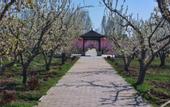 Туры в отель Floral Hotel·Beijing Xiaochi hotel