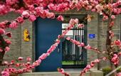Туры в отель Floral Hotel·Beijing Xiaochi hotel