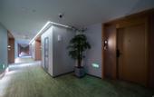 Туры в отель TRUE GO Hotel Zhixuan (Beijing Shangde Nongyedaxue)