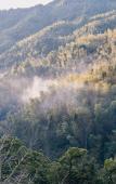 Туры в отель Floral Lux Hotel Mount Huangshan Bitter Tree Story Hotel