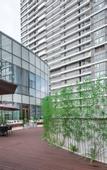 Туры в отель JOYCHENG Hotel (Wuhan Xudong Xiaopinmao Hubei University)