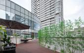 Туры в отель JOYCHENG Hotel (Wuhan Xudong Xiaopinmao Hubei University)