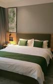 Туры в отель GreenTree Zhixuan Hotel (Hefei Yuxi Road Baida Zhougudui)