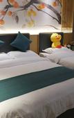 Туры в отель GreenTree Eastern Hotel (Suzhou Si County Tiyuguan Yulan Dadao)