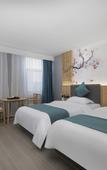 Туры в отель GreenTree Eastern Hotel (Suzhou Si County Tiyuguan Yulan Dadao)