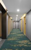 Туры в отель GreenTree Eastern Hotel (Suzhou Si County Tiyuguan Yulan Dadao)