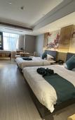 Туры в отель GreenTree Eastern Hotel (Suzhou Si County Tiyuguan Yulan Dadao)