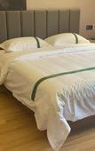 Туры в отель GreenTree Inn (Sunshine 100, Huishan District, Wuxi)