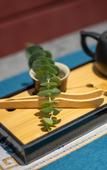 Туры в отель Floral Hotel· Wuyi Mountain Chayan Yueshe Hotel(Dachake Tourist Resort Ecological Zone)