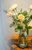 Туры в отель Floral Hotel· Wuyi Mountain Chayan Yueshe Hotel(Dachake Tourist Resort Ecological Zone)