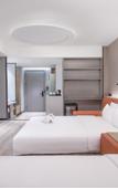 Туры в отель Leisden hotel