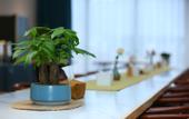 Туры в отель REX Hotel